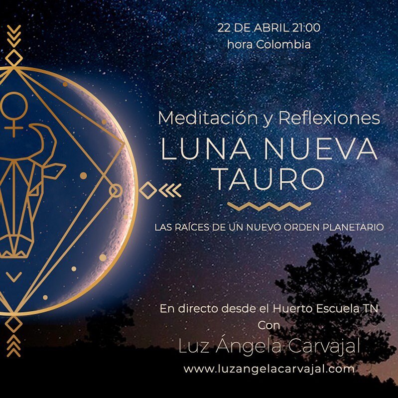 Meditación y Reflexiones Luna Nueva de Tauro Construir un Mundo Mejor